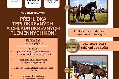 Přehlídka teplokrevných a chladnokrevných plemenných koní