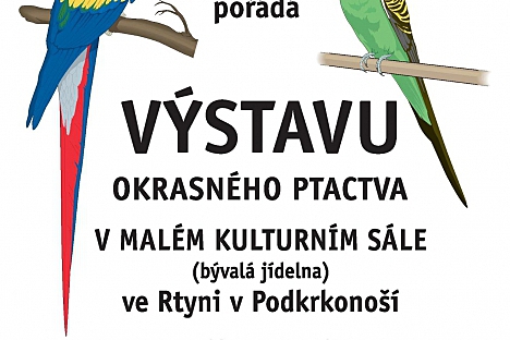 Výstava okrasného ptactva