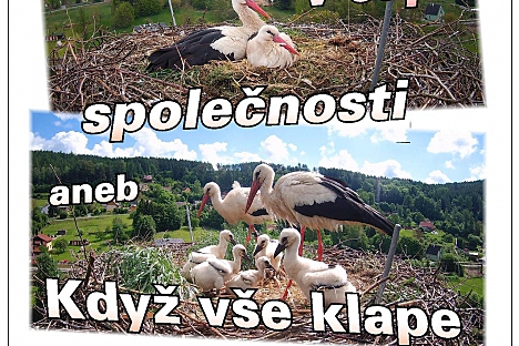 Vyprávění o čápech