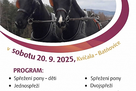 Svatováclavské spřežení